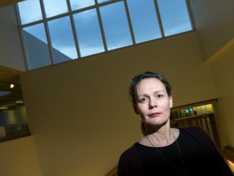 Brynhildur Davíðsdóttir